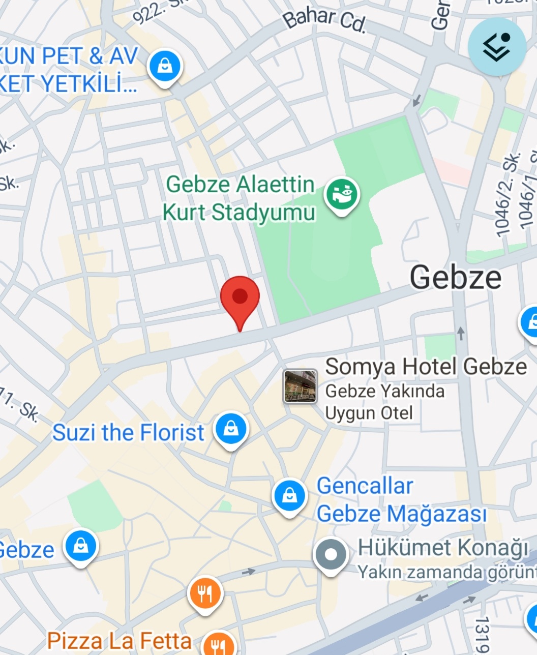 Gebze Haritası